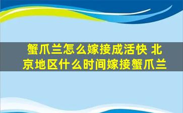 蟹爪兰怎么嫁接成活快 北京地区什么时间嫁接蟹爪兰